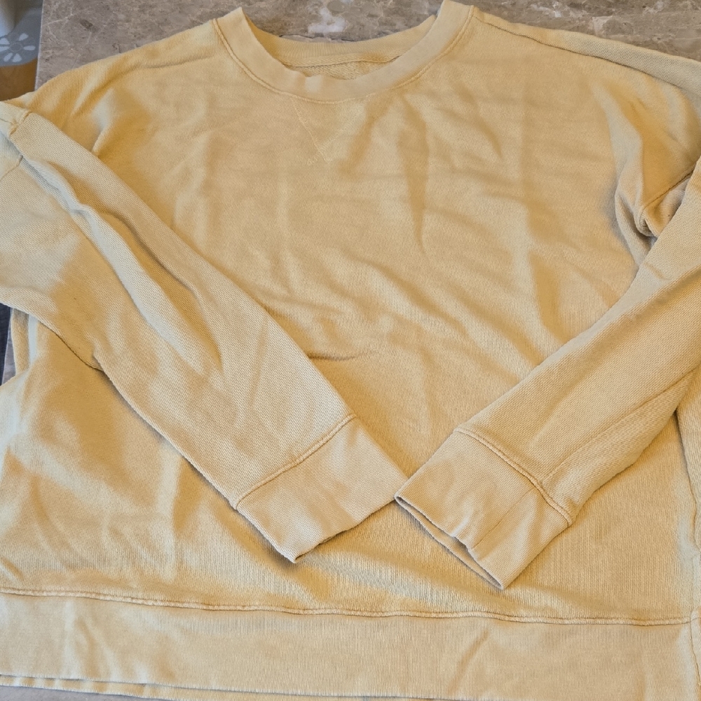 Time and Tru Men's Tan Crewneck Sweater